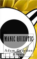 Manic Quixotic