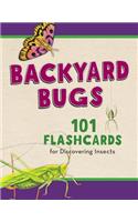 Backyard Bugs