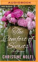 Comfort of Secrets: (Sweet Lake Novel)