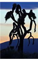 Silhouette of a Joshua Tree at Dusk Journal: 150 Page Lined Notebook/Diary