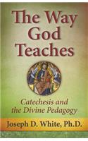The Way God Teaches: Catechesis and the Divine Pedagogy