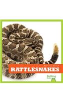 Rattlesnakes