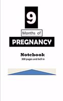 9 Months of Pregnancy Notebook/Journal 300 pages and 6 x 9 inch