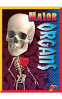Major Organs
