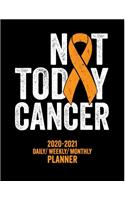 Not Today Kidney Cancer: 2020 -2021 Daily/ Weekly/ Monthly Planner: 2-Year Personal Planner with Grid Calendar Orange Awareness Ribbon Kidney Disease Appointment and Wellnes