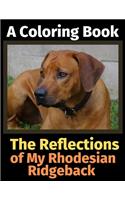 The Reflections of My Rhodesian Ridgeback: A Coloring Book