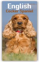 English Cocker Spaniel Calendar 2020