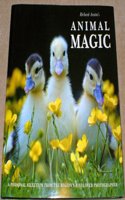 Richard Austin's West Country Animal Magic