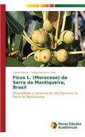 Ficus L. (Moraceae) da Serra da Mantiqueira, Brasil