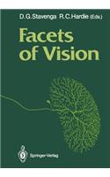 Facets of Vision