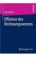 Effizienz Des Rechnungswesens