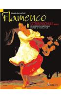 Flamenco Gitarrenschule 2