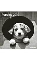 2012 Puppies Grid Calendar