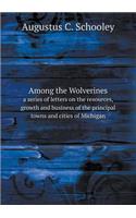 Among the Wolverines a Series of Letters on the Resources, Growth and Business of the Principal Towns and Cities of Michigan