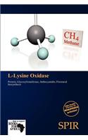 L-Lysine Oxidase: (English)