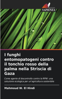 I funghi entomopatogeni contro il tonchio rosso della palma nella Striscia di Gaza