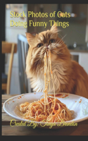 Stock Photos of Cats Doing Funny Things