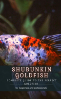 Shubunkin Goldfish: Complete Guide T&#1054; Th&#1045; Perfect Goldfish