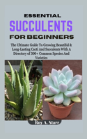 Essential Succulents for Beginners