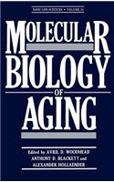 Molecular Biology of Aging