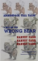 I Was on the Wrong Bear