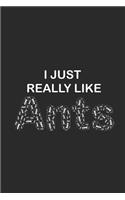 I Just Really Like Ants
