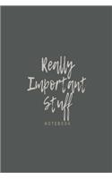 'Really Important Stuff' notebook: Grey slogan paperback lined jotter