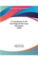 A Contribution To The Knowledge Of The Genus Branchipus (1889)
