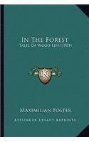 In the Forest in the Forest