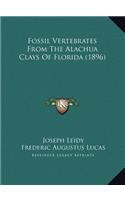 Fossil Vertebrates From The Alachua Clays Of Florida (1896)