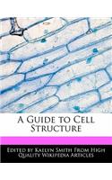 A Guide to Cell Structure