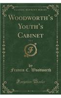 Woodworth's Youth's Cabinet, Vol. 4 (Classic Reprint)