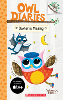 Baxter Is Missing: A Branches Book (Owl Diaries #6): A Branches Book Volume 6