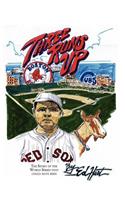 Three Runs Up: The Story of the World Series That Could Have Been(English)