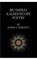 Bicameral Kaleidoscope Poetry