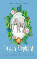 Asian Elephant