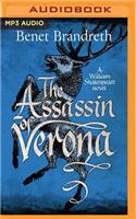 Assassin of Verona