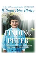 Finding Peter: A True Story of the Hand of Providence and Evidence of Life After Death: A True Story of the Hand of Providence and Evidence of Life After Death