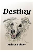 Destiny