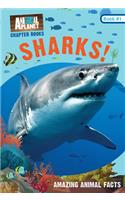 Sharks! (Animal Planet Chapter Books #1)