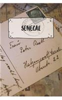 Senegal: Ruled Travel Diary Notebook or Journey Journal - Lined Trip Pocketbook for Men and Women with Lines