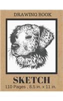 Sketch Book