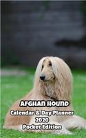 Afghan Hound Calendar & Day Planner 2020 Pocket Edition