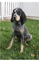 Bluetick Coonhound Dog Sitting in the Grass Journal: Take Notes, Write Down Memories in this 150 Page Lined Journal