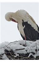 Stork in the Snow Journal