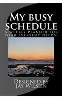 My Busy Schedule: A Weekly Planner for Your Everyday Needs!