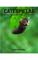 Caterpillar