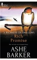 A Richness of Swallows: Rich Promise