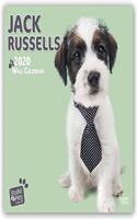 JACK RUSSELLS 2020 SQUARE WALL CALENDAR