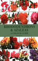 Rhododendrons and Azaleas - A Colour Guide